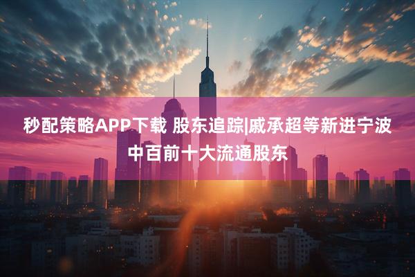 秒配策略APP下载 股东追踪|戚承超等新进宁波中百前十大流通股东
