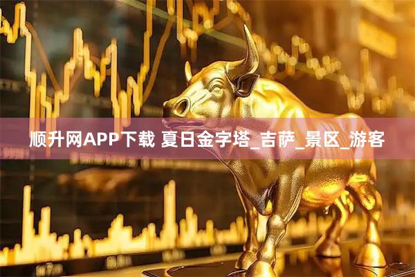 顺升网APP下载 夏日金字塔_吉萨_景区_游客