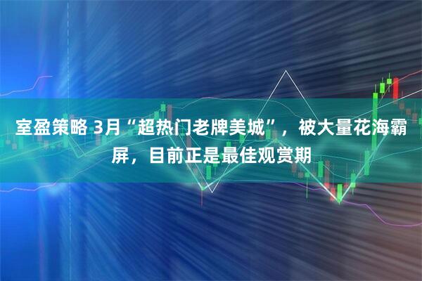 室盈策略 3月“超热门老牌美城”，被大量花海霸屏，目前正是最佳观赏期